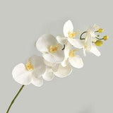 7 Large Heads Orchid | Artificial Flower | Centerpieces | DIY Floral | Wedding/Occasion/Home Decoration | Gifts - White