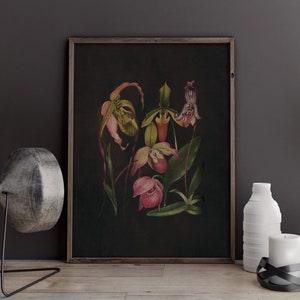 Orchid wall art, tropical flower art, black flower prints, antique botanical, vintage botanical, dark floral wall art, tropical orchid print