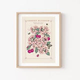 Cherry Blossom Wall Art Print, Meaning of Flowers Illustration Print, March Birth Flowers