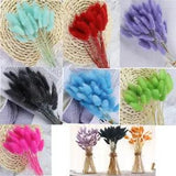 50Pcs Natural Dried Flower Bouquet Boho Home Room Decor Bunny Rabbit Tail Reed