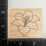 Stampin Up Lily Flower Fifth Avenue Floral Wood Mounted Rubber Stamp