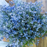 300 Chinese Forget-Me-Not Seeds ??Blue Showers?? Cynoglossum amabile from Dizzy Bees Urban Garden