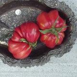 Seeds Tomatoes Tlacolula Pink Frowned, Beefsteak, Natural Seeds, No Pesticides, No Chemical Fertilizers, 15 seeds