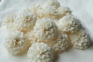 50 Carnation sharp 5 cm. Diffuser Flowers Sola Balsa Wood Wholesale Bouquet