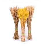 Real Wheat Natural Dried Flowers Home Wedding Party Decoration Craft Scrapbook