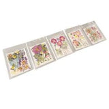 5 Bags Pressed Flowers Vibrant Rich Details Multi Purpose Dried Flowers DIY FOD