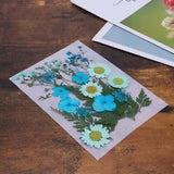 Real Pressed Flower 3d Stickers Mini Dried Flowers for Nails