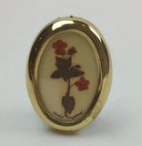 Vintage Flowers of Ireland Scarlet Pimpernel Pressed Dried Flowers in Frame