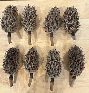 8 Magnolia Seed Pods - decoration, craft, wreaths, isopods, weddings, potpourri