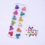 36PCS Real Pressed Dry Daisy flowers collection, 12 colors for craft FCD504 #3