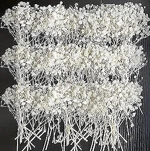 50 PCS White Pressed Dried Baby's Breath Flowers Bulk - 100% babys breath 50pcs