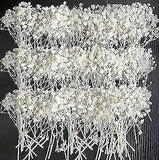 50 PCS White Pressed Dried Baby's Breath Flowers Bulk - 100% babys breath 50pcs