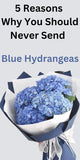 5 Reasons Why You Should Never Send Blue Hydrangeas Flower Delivery