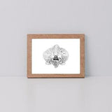 Orchid *Limited Edition Giclee Print*