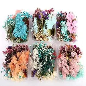1 Box Real Natural Dried Flowers Multiple Colorful Assorted Flower for DIY
