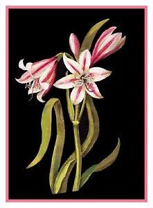 Asphodel Lily Flowers inspired Mary Delany Counted Cross Stitch Pattern