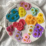 24pcs Dyed Dried Press Chrysanthemum Daisy Flower DIY Candle Making Craft Decor