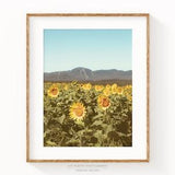 Sunflower Print, Summer Wall Art, Sunflowers Decor, Boho Nature Art Print, Landscape Print, Boho Wall Decor