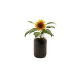 Sunflower Planter