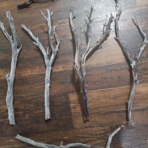 4 22' inch untreated gray manzanita driftwood branch birds iguana cage aquarium terrarium gecko vivarium weddings macrame air plants orchids