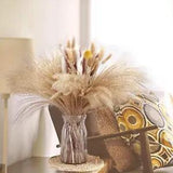 Dried Pampas Grass Decor, 83PCS Boho Home Decor Dried Flowers Arrangements 17"