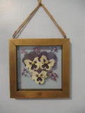 Dried Pressed Pansies in Wood Floating Frame: 6.25" X 6.25 Inch"