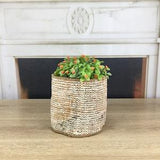 plant hook basket, neutral basket, orchid holder, planter for window, wool plant basket, round plant holder, air planter basket, PH 1622
