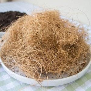 Coconut Husk Fiber Pure Organic Coco Husk Fiber Homemade Coir Husk Fiber for Orchid, Anthurium Plant