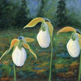 White Slipper Orchid Art Print - White Lady Slippers - Maine Slipper Orchids Art - Maine Orchids And Forest Art Print - Maine Garden Print