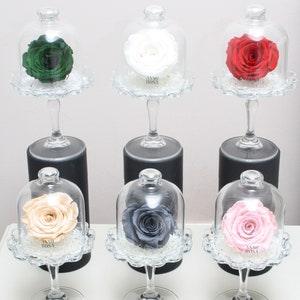 Preserved Rose Belle - Various Colours - Remembrance Gift