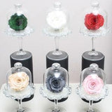 Preserved Rose Belle - Various Colours - Remembrance Gift