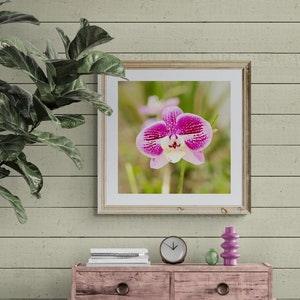 Orchid Photo, Orchid Print, Orchid Wall Decor, Hot Pink Flower Art, Pink Green Art, Magenta Floral Art, Square Flower Print, Floral Photo
