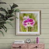 Orchid Photo, Orchid Print, Orchid Wall Decor, Hot Pink Flower Art, Pink Green Art, Magenta Floral Art, Square Flower Print, Floral Photo