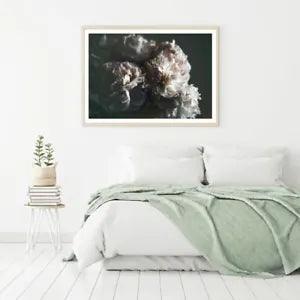 Pink Peony Flowers Closeup View Print Premium Poster High Quality choose sizes