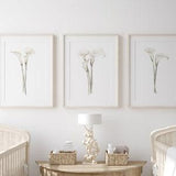 Watercolor Cala Lilies, Neutral Minimalist Wall Decor, Set of 3 Prints, Floral Contemporary Art, Spring Flowers, Lily Drawing, Baby Girl Art