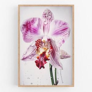Orchid Print Wall Art No.102 | Art Print | Water Orchid Canvas Art | Flower Home Decor | Vintage Botanic Art | Farmhouse Watercolor Painting