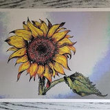 Sunflower Blank Greeting Card - Original Artwork