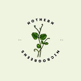 Easy Grow Microgreens Kit | Micro Green Grow Kit