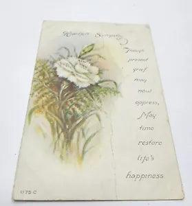 Antique Posted Floral Sympathy Postcard - White Carnation