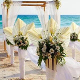 NEW Decor Boho 3 Pcs White Premium Large Dried Palm Leaves & Bonus E-Book