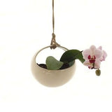 Modern Hanging Planter- Great for Orchids