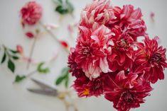 How to Cut Dahlias for a Vase or Bouquet Flower Delivery