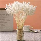 Natural Dried Bunny Tail Grass - 110~120 Stems Rabbit Tail Grass, 2-white