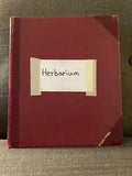 Vintage Antique Herbarium of Pressed Grasses 50+ pages
