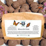 20 Milkweed Seed Bombs for Monarch Butterflies & Endangered Pollinators | Spirit Bombs