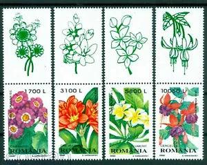 2000 Bush lily,Plumeria,Fuchsia,Senecio,Flowers,plants,Romania,Mi.5478,TAB/T,MNH