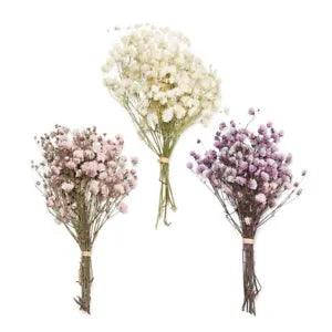 DIY Natural Dried Bouquets Mini Real Flower Plant Stems Natural Material...