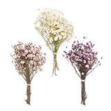 DIY Natural Dried Bouquets Mini Real Flower Plant Stems Natural Material...