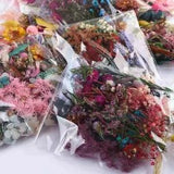 1 Bag Real Mix Dried Flowers for Resin Jewelry Dry Plants Pressed Flowers Making