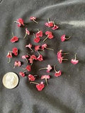 Dried Crown Of Thorn Plant Flowers